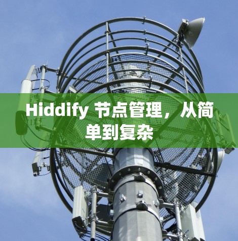 Hiddify 节点管理,从简单到复杂