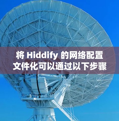 将 Hiddify 的网络配置文件化可以通过以下步骤进行